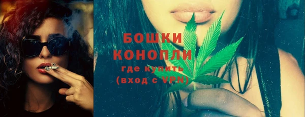 сатива Надым