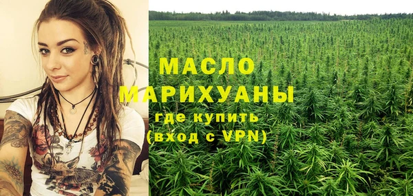 сатива Надым