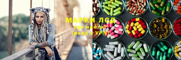 сатива Надым