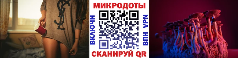 Псилоцибиновые грибы Psilocybe Щёкино